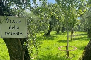 Visita della Poesia