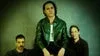 Bambara - Revolution Above Disorder - Big Evil Rat - DOUR - The Carpoolers | Purple City Music Festival