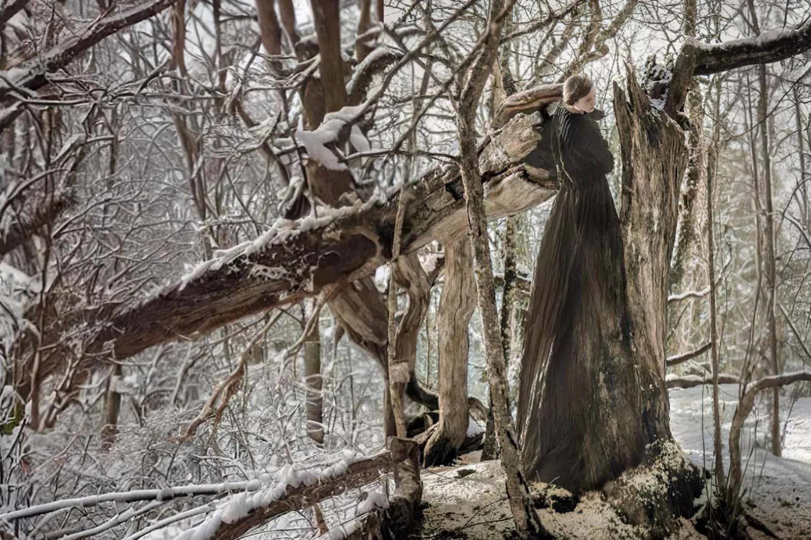 Entanglement: I am a tree, I am a mouth