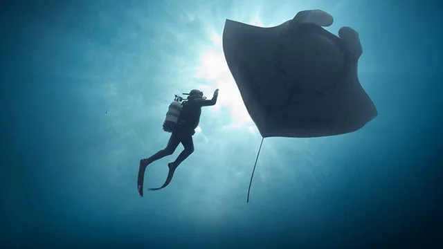 The Last Dive: San Diego Premiere