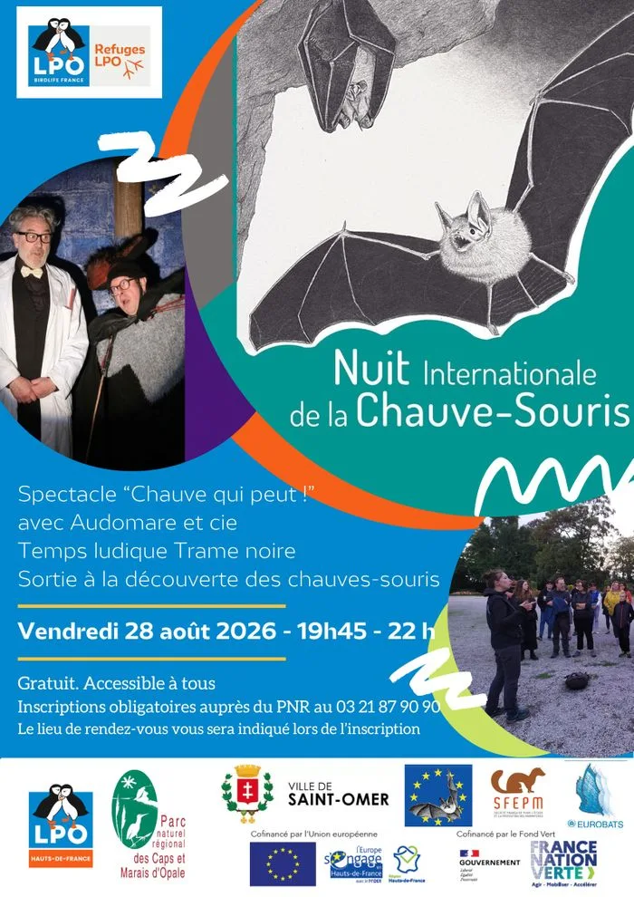 Nuit Internationale de la Chauve-souris à Saint-Omer