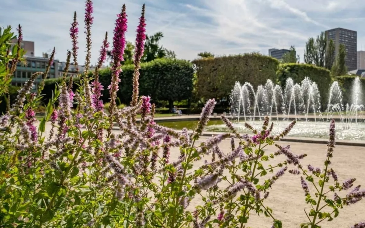 Visite du parc de Choisy au square de la Raffinerie Say
