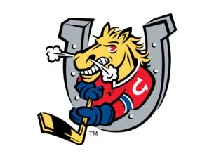 Barrie Colts vs. Saginaw Spirit
