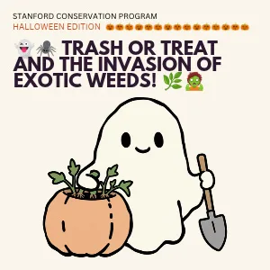 Trash or Treat and the Invasion of Exotic Weeds!