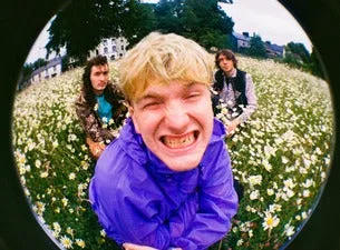The Love Buzz