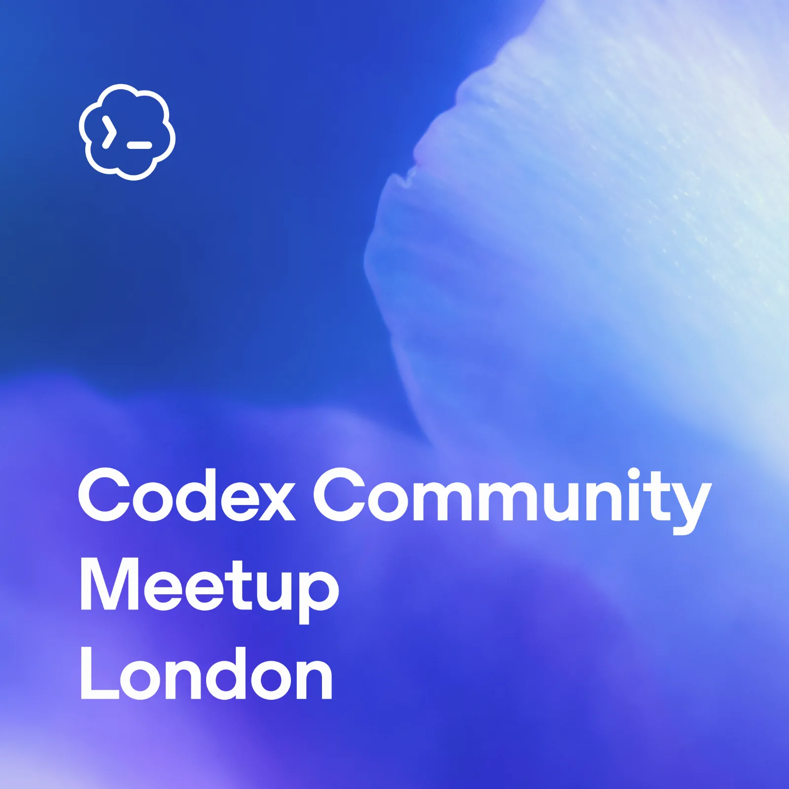 Codex Community Meetup - London