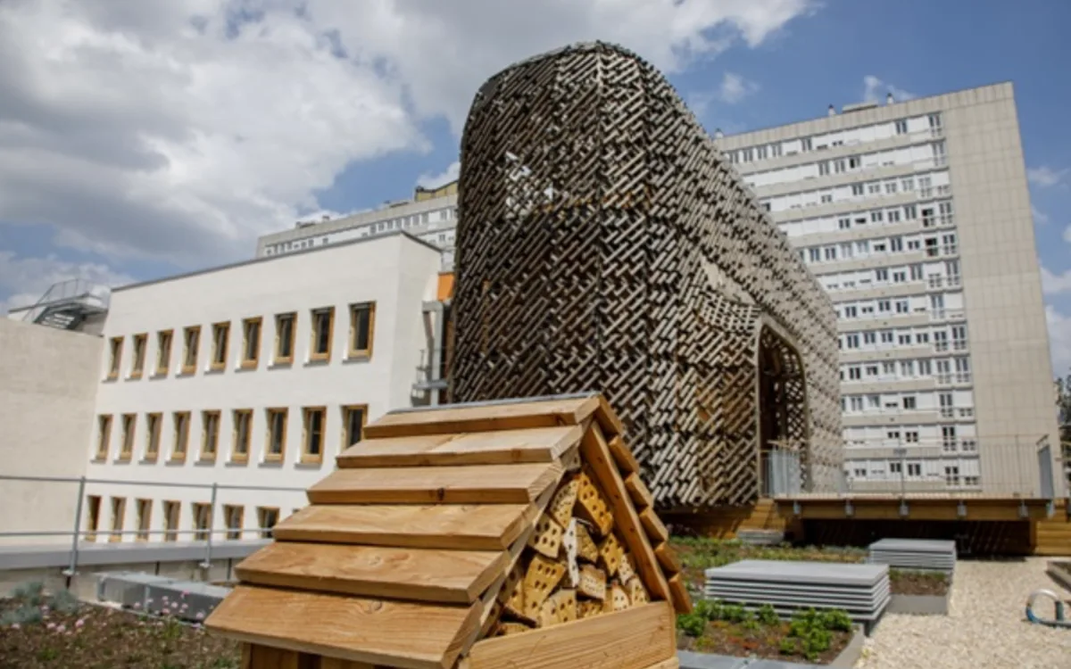 Métiers de Ville, métiers de vie : architecture, climat… rencontrez les professionnels qui transforment Paris