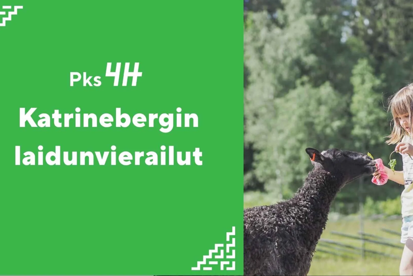 Katrinebergin kotieläinpihavierailut