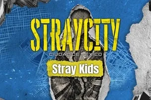 STRAYCITY MEXICO CITY