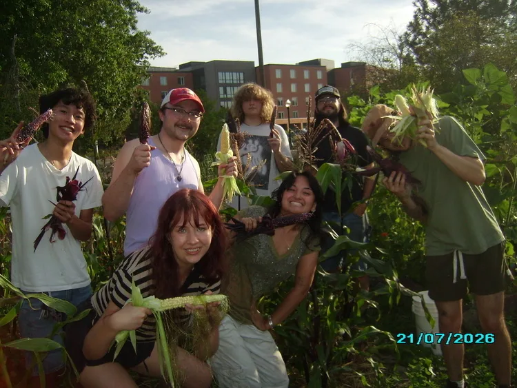 Grove Community Garden Work Party