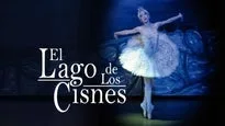 El Lago De Los Cisnes