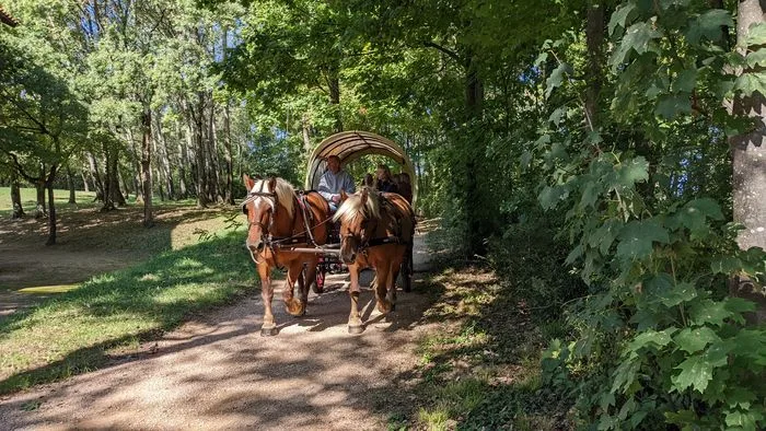 Balades en calèche