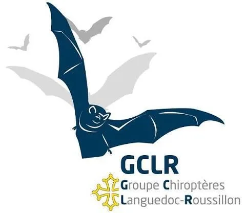 Nuit de la chauve-souris