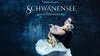 Schwanensee