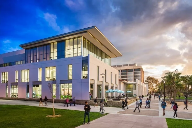 Research Opportunities and Resources for Undergraduates