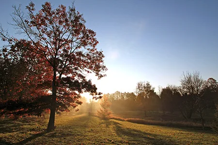 Fall Colors Walk