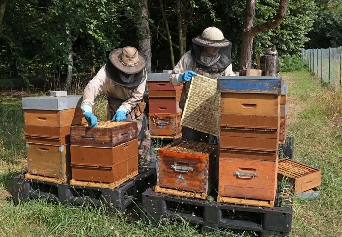 La Miellerie Frères Berville à la Foire d'automne d'Estrées-Saint-Denis !