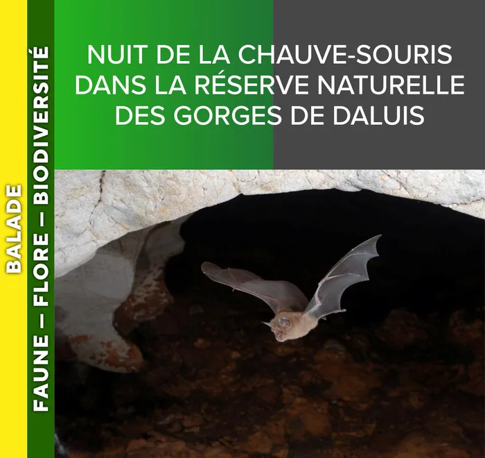 ALPES AZUR MERCANTOUR - Nuit de la chauve-souris dans la réserve naturelle des Gorges de Daluis
