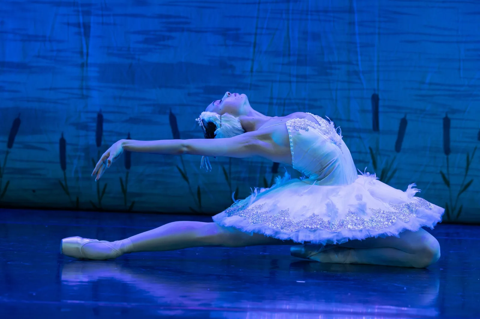 British Festival Ballet: Swan Lake