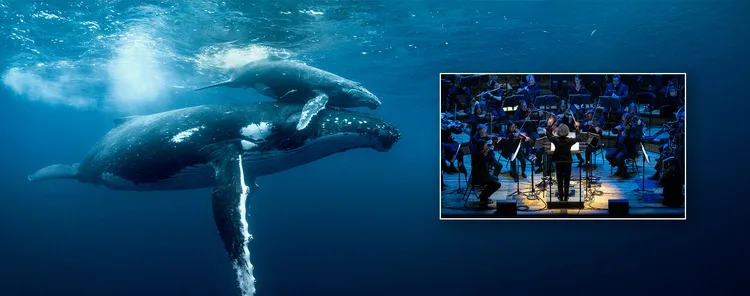 OCEAN in Concert