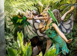 Tinkerbell and the Dream Fairies Sydney