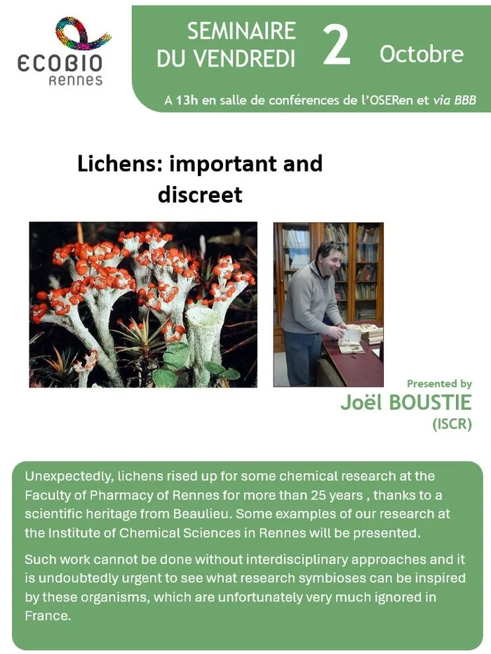 Lichens: important and discreet