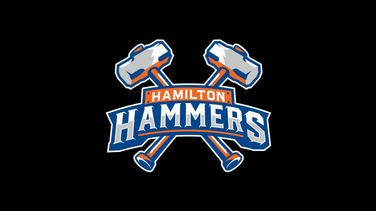 Hamilton Hammers vs. Toronto Marlies