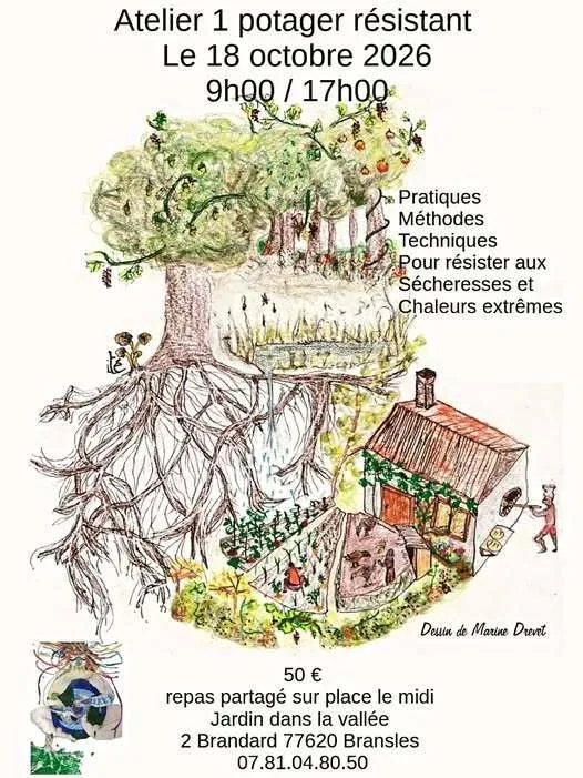 Dimanche 18 octobre  Stage un potager résistant