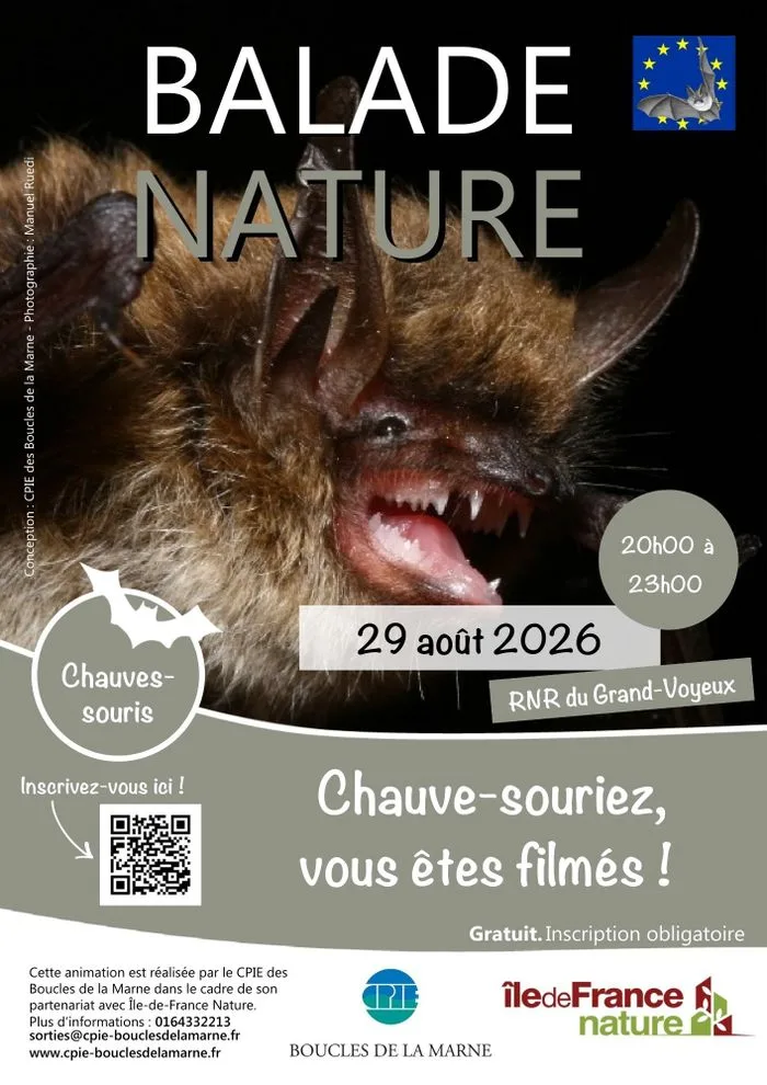Chauve-souriez, vous êtes filmés !