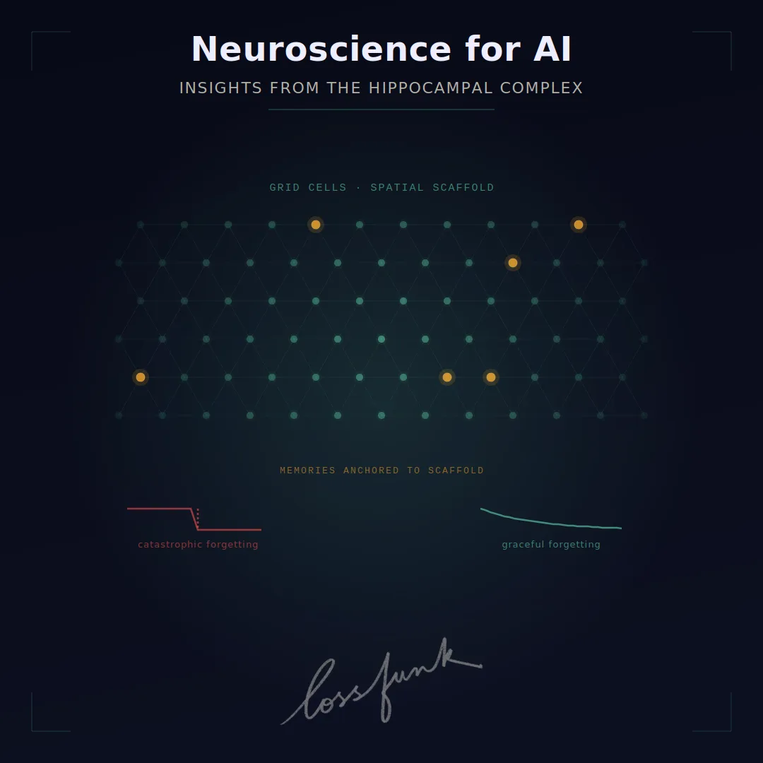 Neuroscience for AI: Insights from the hippocampal complex