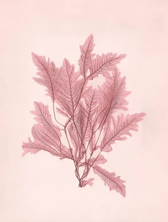 Regenerative Studio Fall 2026 Events