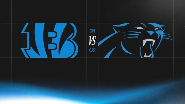 Carolina Panthers v Cincinnati Bengals
