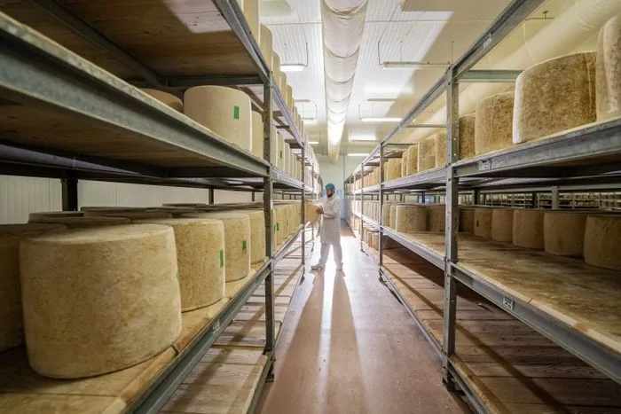 Visite guidée : découvrez la fabrication du cantal AOP au lait cru et du fromage Le Thérondels 🧀