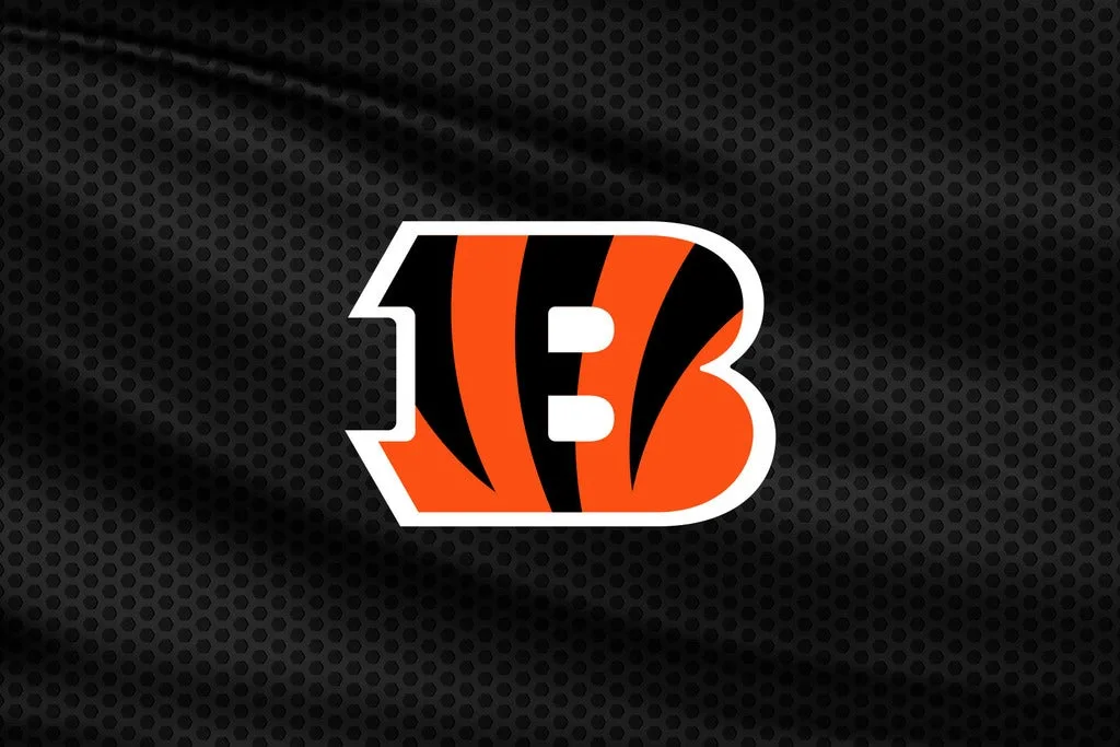 Cincinnati Bengals vs. Pittsburgh Steelers