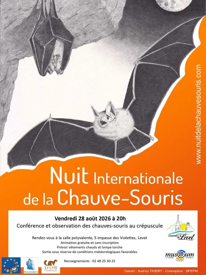 Soirée découverte des chauves-souris à Levet (18)