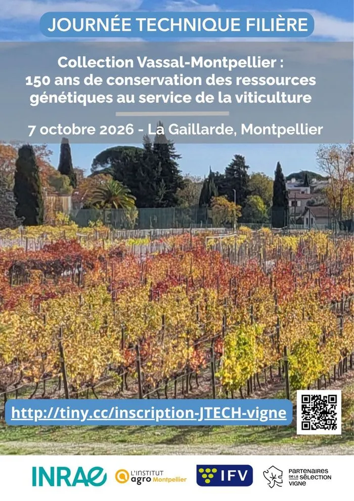 Journée technique consacrée aux ressources génétiques de la vigne