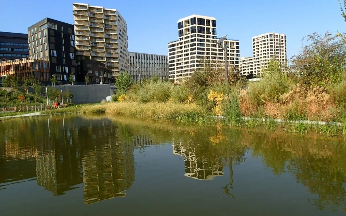 Visite du square des Batignolles au Parc Martin Luther King
